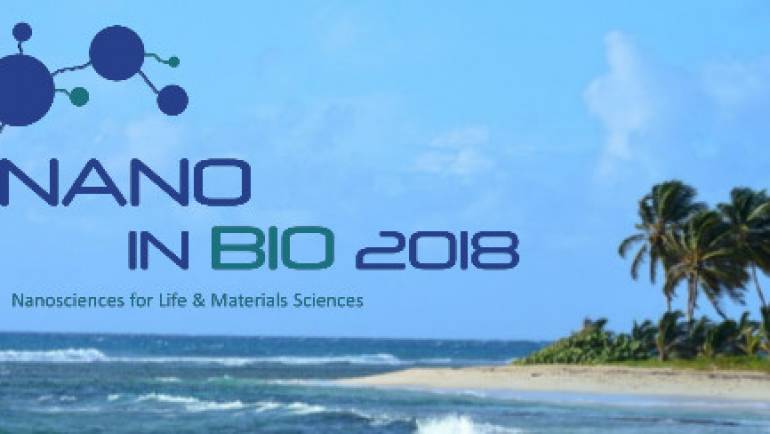 NANO IN BIO, MAY 2018