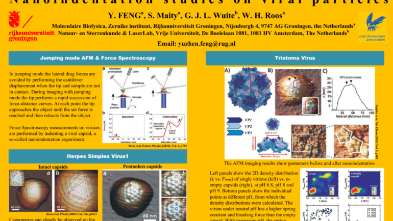 RUG poster presentation on VIRUSCAN work on the Dutch SPM Day 2018, Utrecht University, November 9th 2018