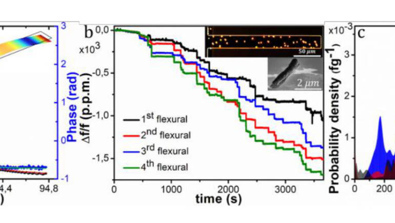 VIRUSCAN participation in the 8th Multifrequency AFM Conference. October 27-30th, 2020, Madrid (online conference).