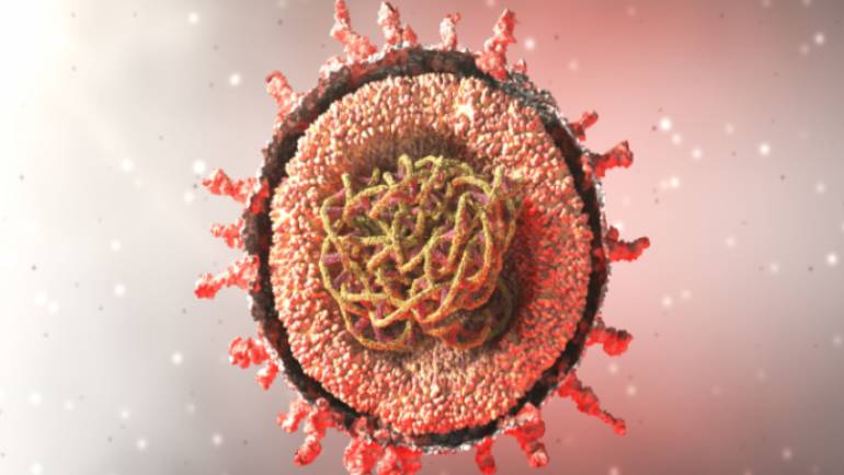 CORDIS: Virus diagnostics based on physical properties